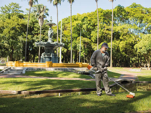 Jardinagem: profissão em alta